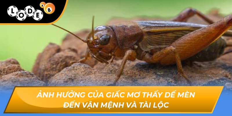 mơ thấy dế mèn