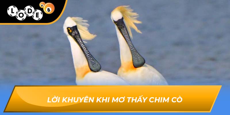Mơ thấy chim cò