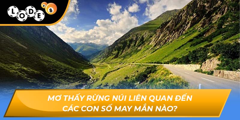 mơ thấy rừng núi